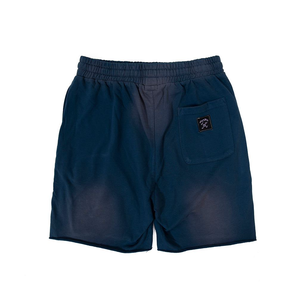 DM8 Embroidery Shorts Washed Blue