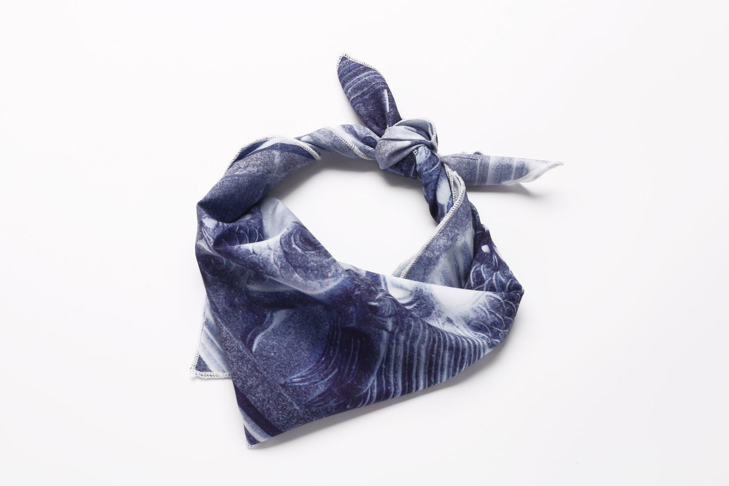 Bandana #1