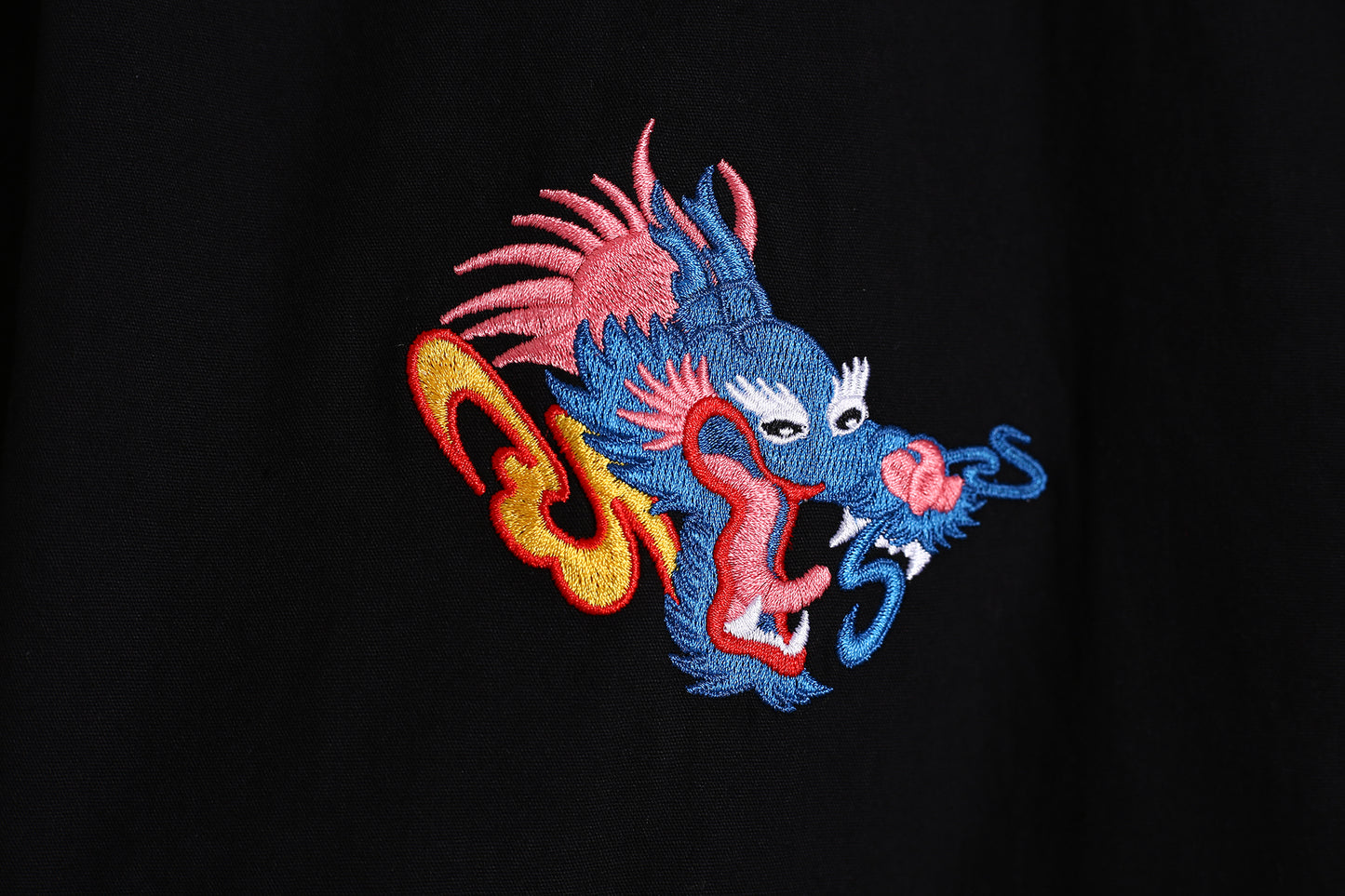 獅子山龍發精神Lion Rock Spirit Embroidery Shirt 鴉黑